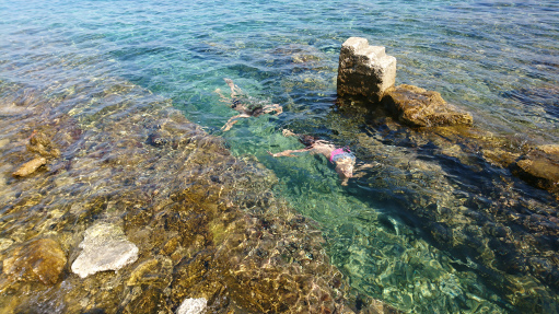 auch für Kinder sehr gut geeignet